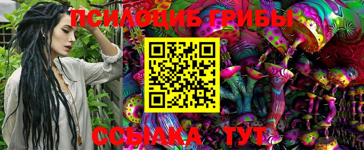 Галлюциногенные грибы Magic Shrooms  Вход с VPN  Чапаевск  Псилоцибиновые грибы ЛСД 